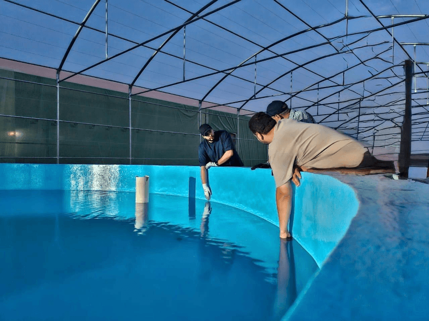 The National Partner in Aquaculture