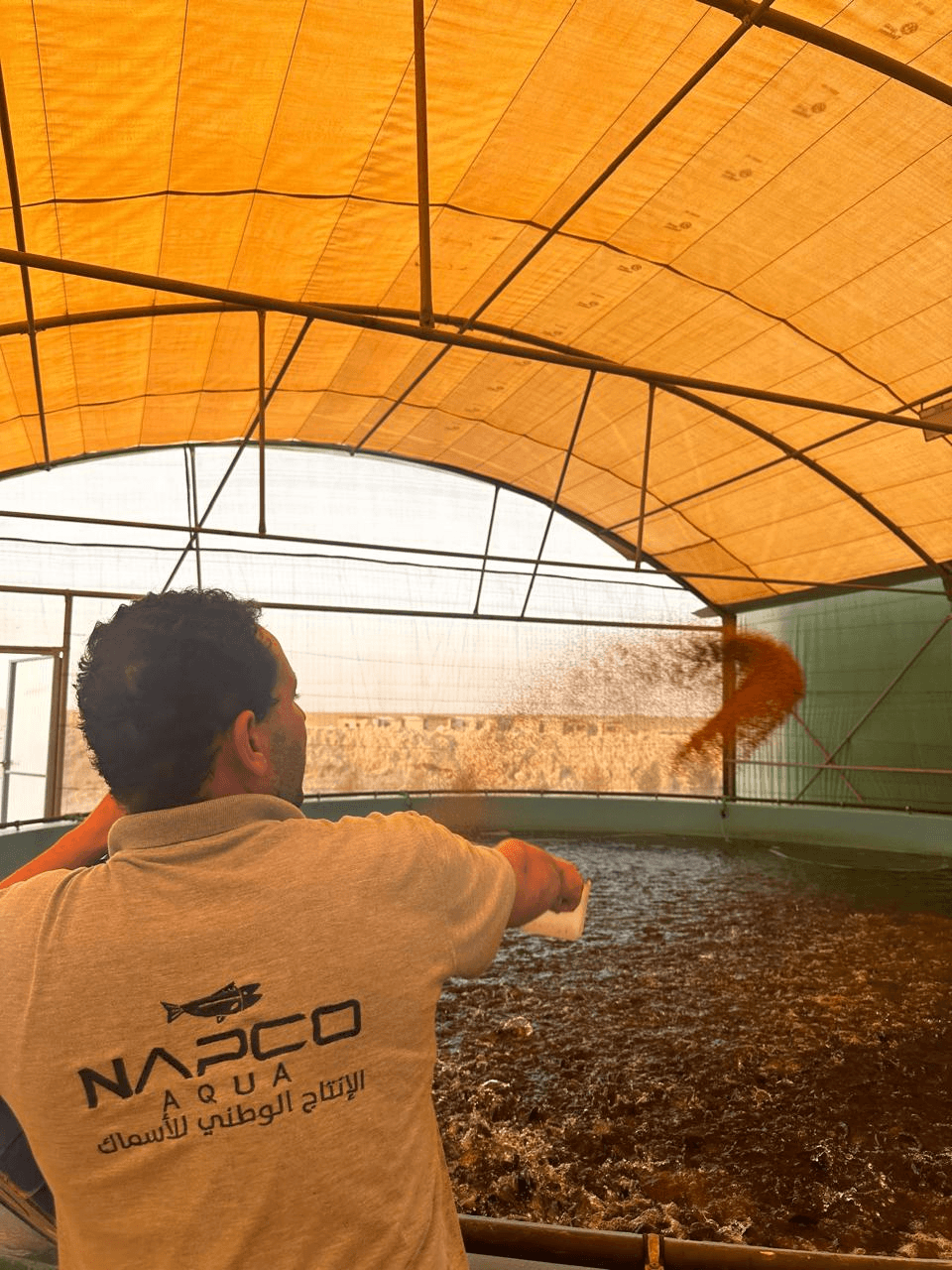 NAPCO Aqua Services