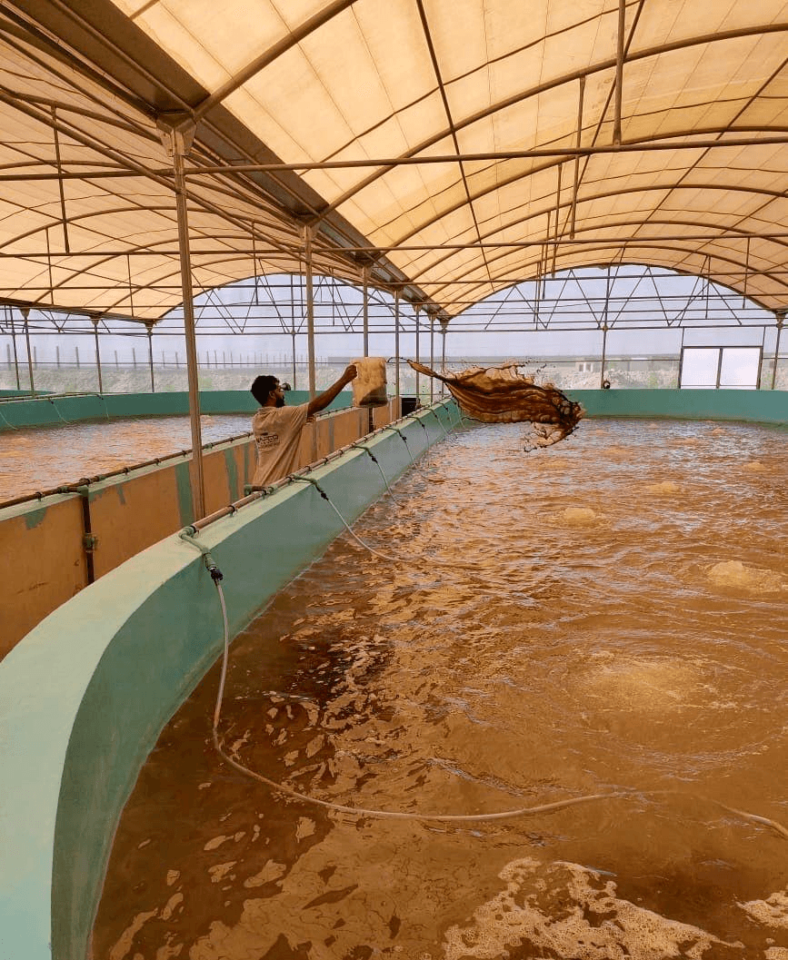 Practical Aquaculture Solutions, Zero Theory